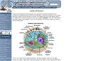 Animal Cell Structure