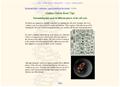 Online Onion Root Tip Activity
